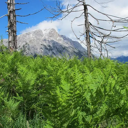 Apartement Gute Laune شقة *